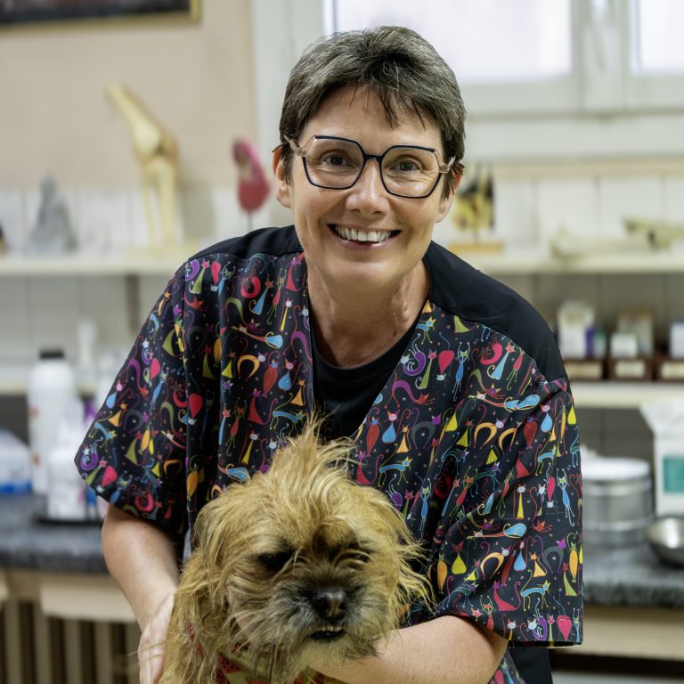 Dr Colomer, vétérinaire — Clinique du Pré Saint-Gervais