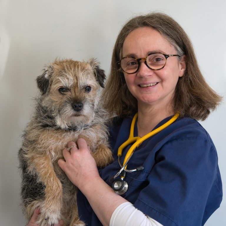 Dr Zunquin, vétérinaire — Clinique du Pré Saint-Gervais